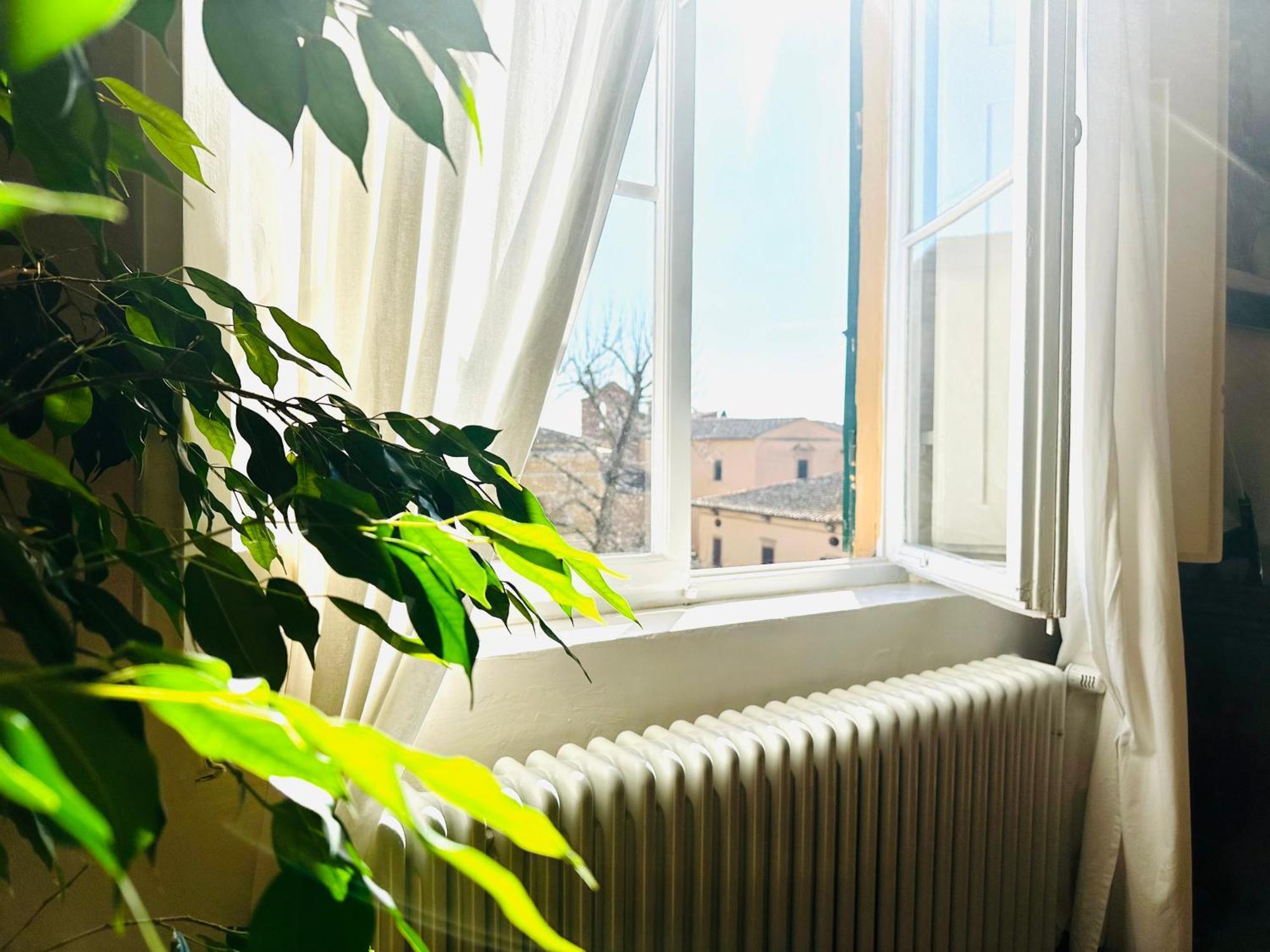 Domus An - Sant'Agata-Historical Home-Very Central Сиена Екстериор снимка